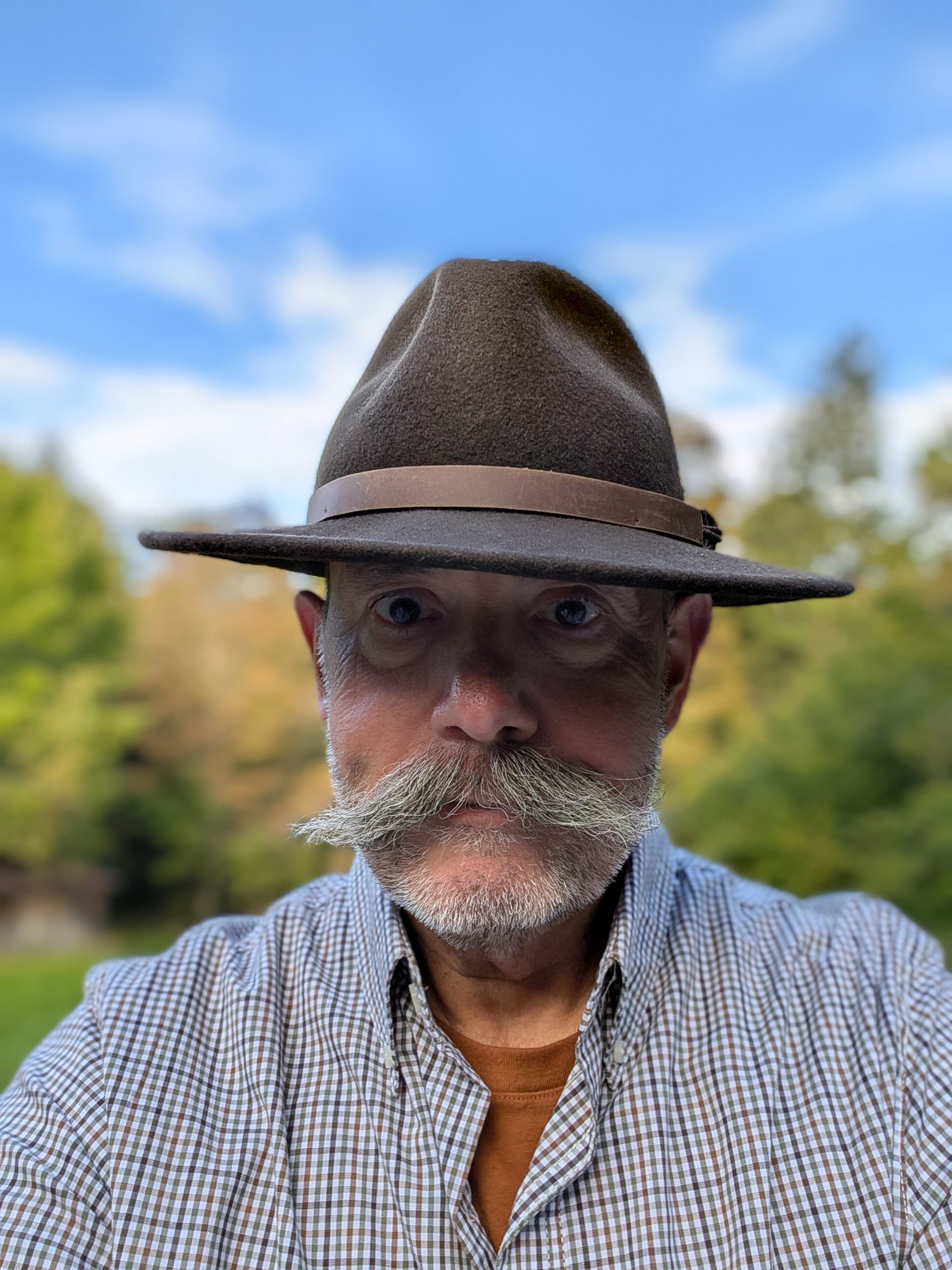 Todd M Steele profile image